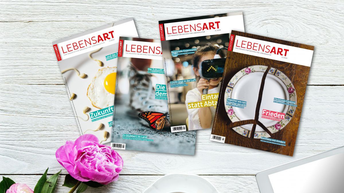 lebensart-am-kiosk-faecher-rawpixel-769354-unsplash